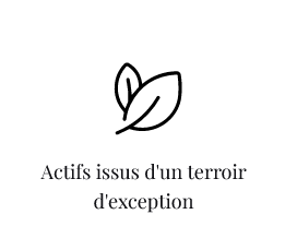 Illustration - actifs issus d'un terroir d'exception