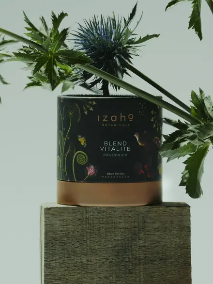 Boite d'infusion vitalité avec une mise en scène sur un fond de nature