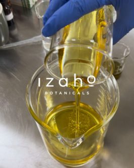 Publication instagram visuel du laboratoire